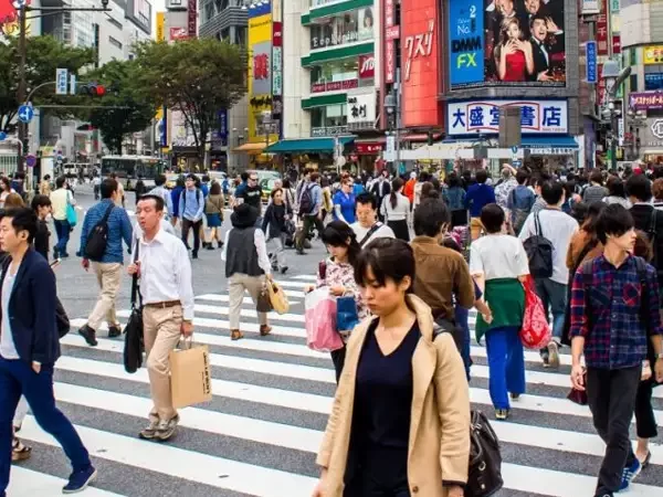 Solusi IMSI Video HOLOWITS Thumbnail 1.1