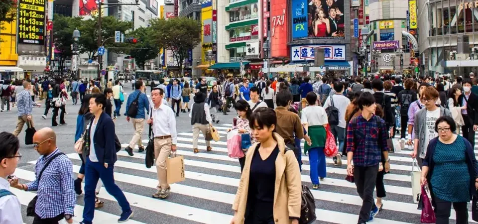 Solusi IMSI Video HOLOWITS Thumbnail 1.1